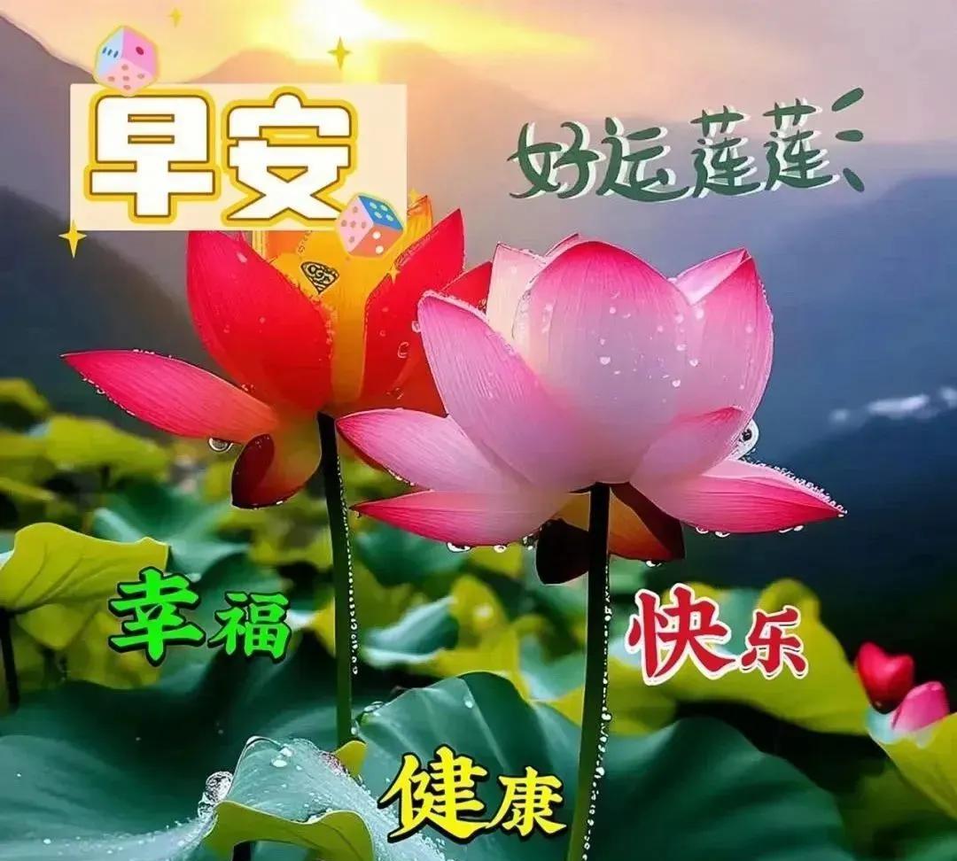 早安心语星愿：一朝一夕是日子，亦苦亦甜是生活，愿岁月静好，幸福常伴，吉祥安康！