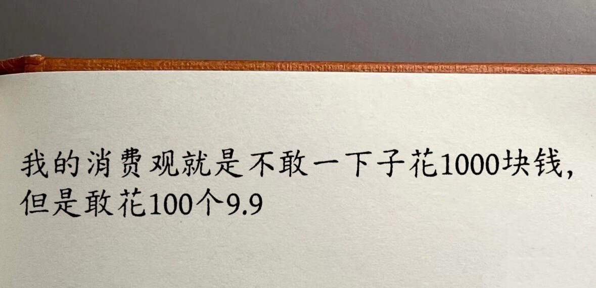 我的消费观就是不敢一下花1000块，但是敢花100个9.9​​​