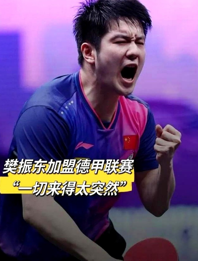 樊振东这下你满意了吧！本以为让官方下场整治饭圈，你的目的已经达到了，结果扭头