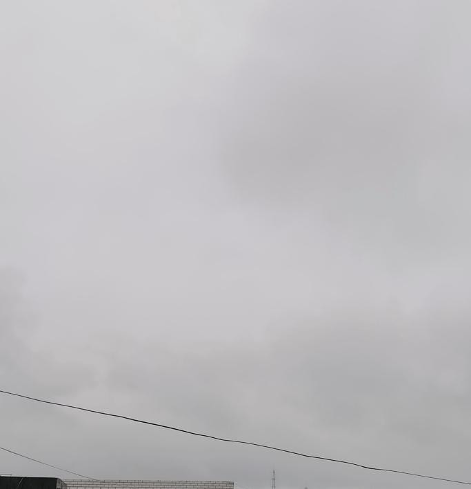 （图片为手机拍摄。）