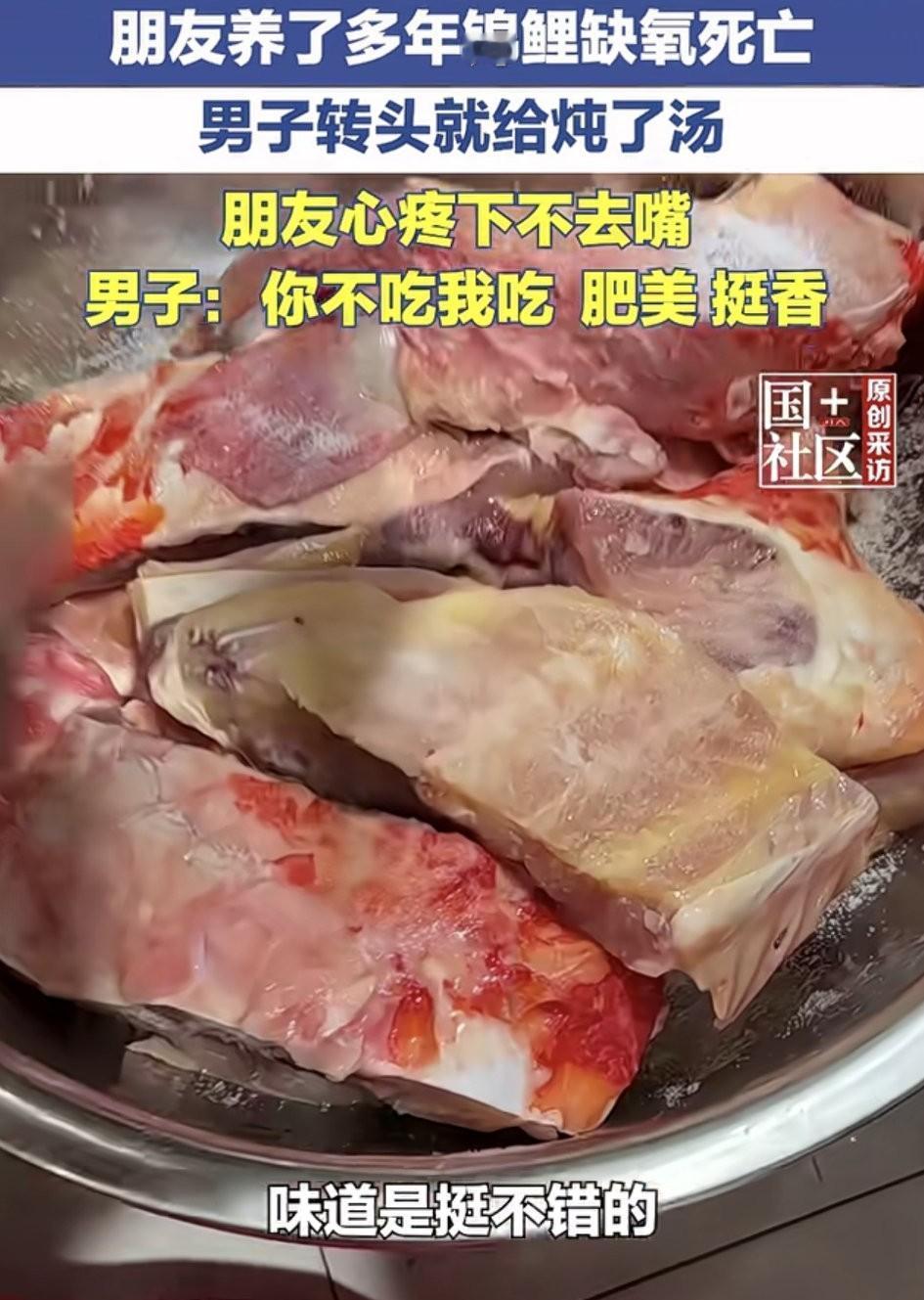 “你不吃，我吃！”据5月9日中国江西网报道，山东滕州，一男子朋友养了两三年的锦鲤