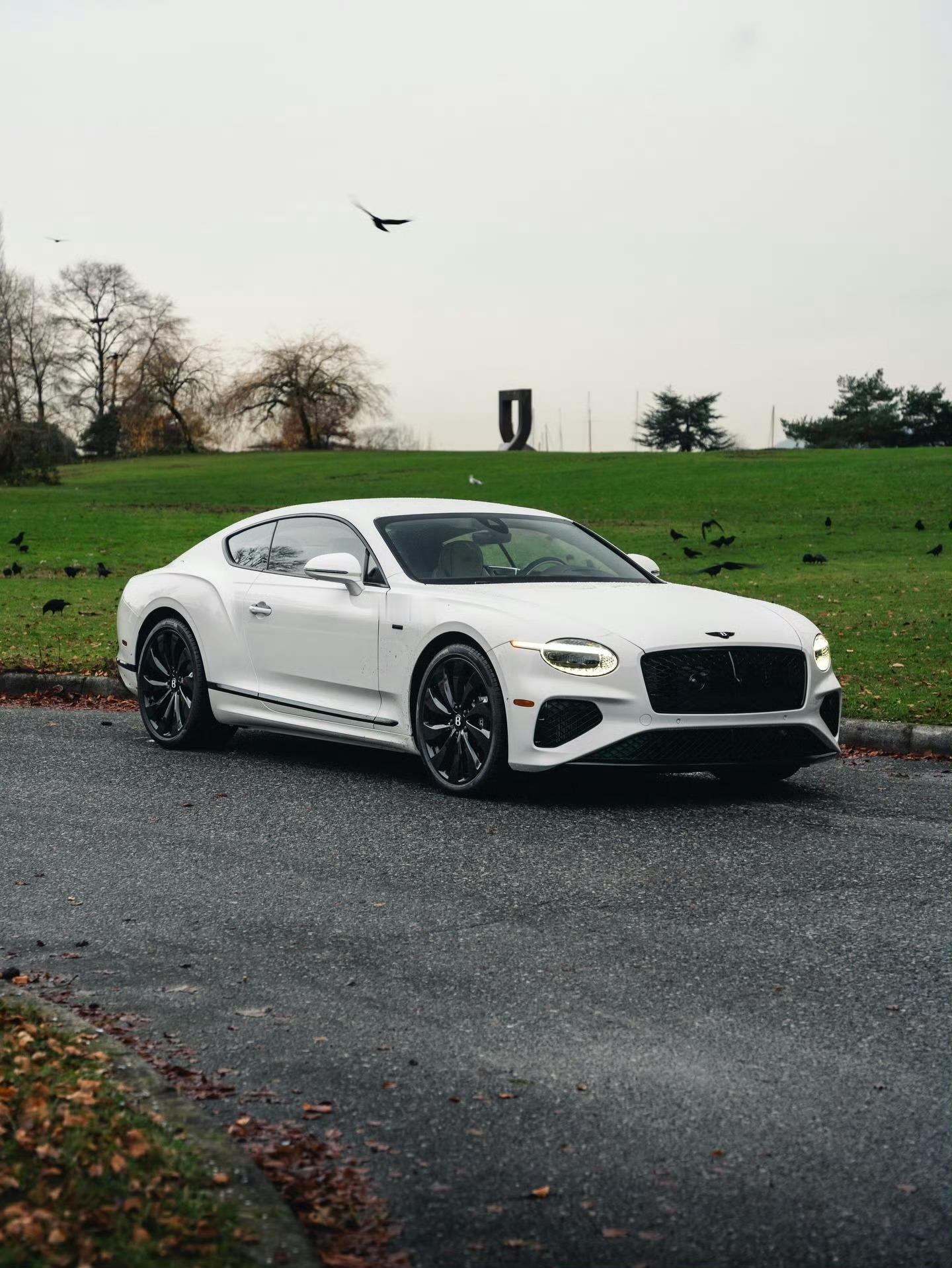 宾利ContinentalGTBlackEdition