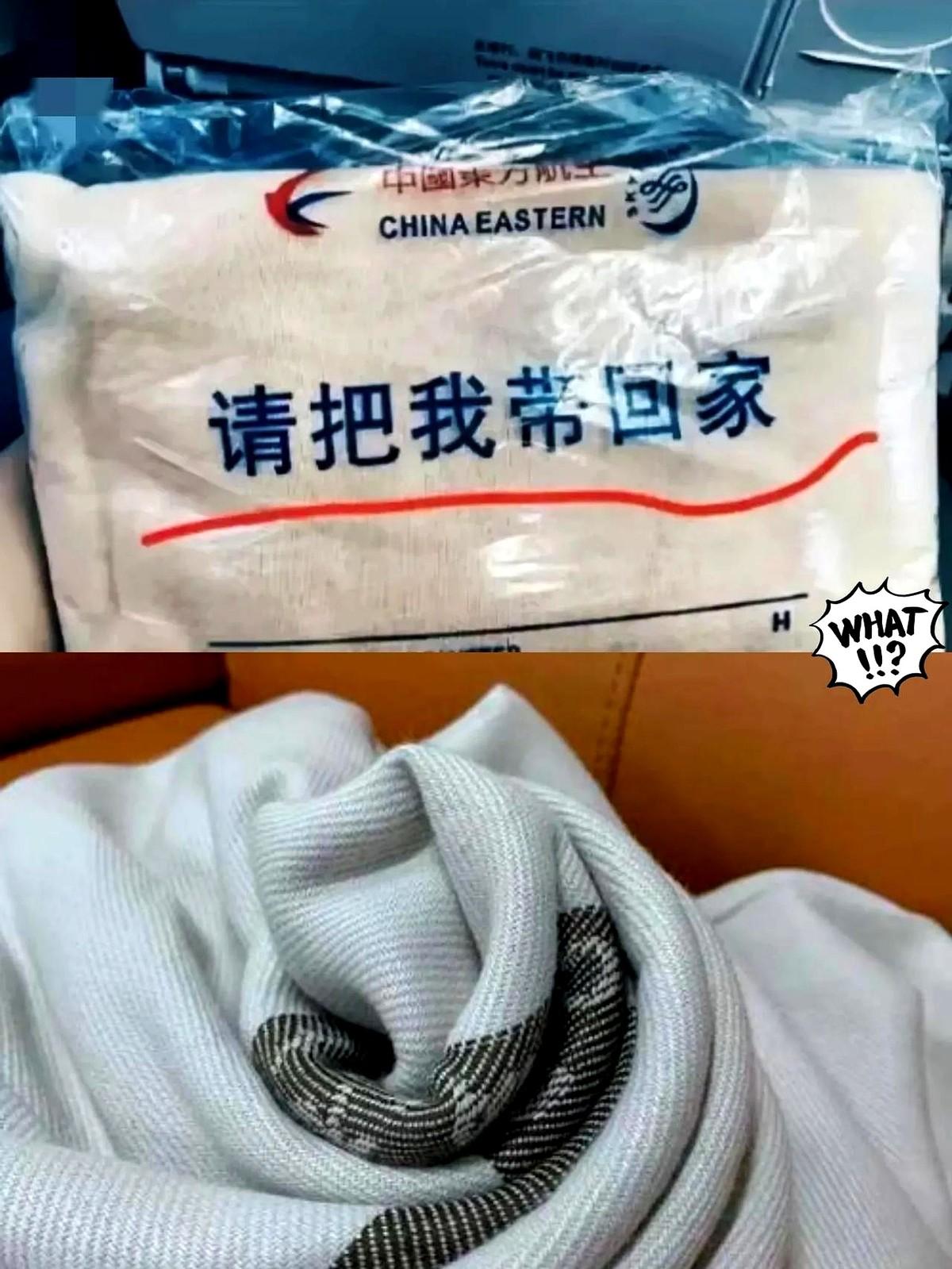 不懂就问～坐飞机居然被东航毛毯反向“套路”了！包装袋上那句“请把我带回家