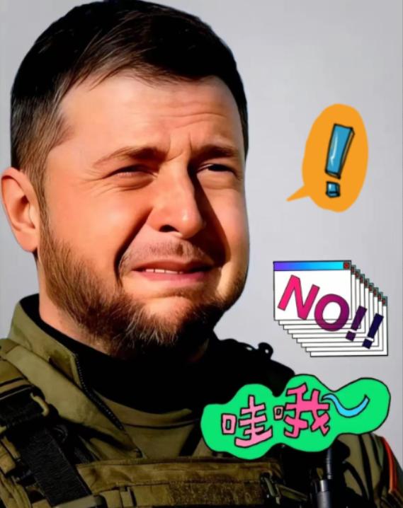 果不其然！乌克兰总统泽连斯基宣布了！2026年1月7日，乌克兰总统泽连斯基在