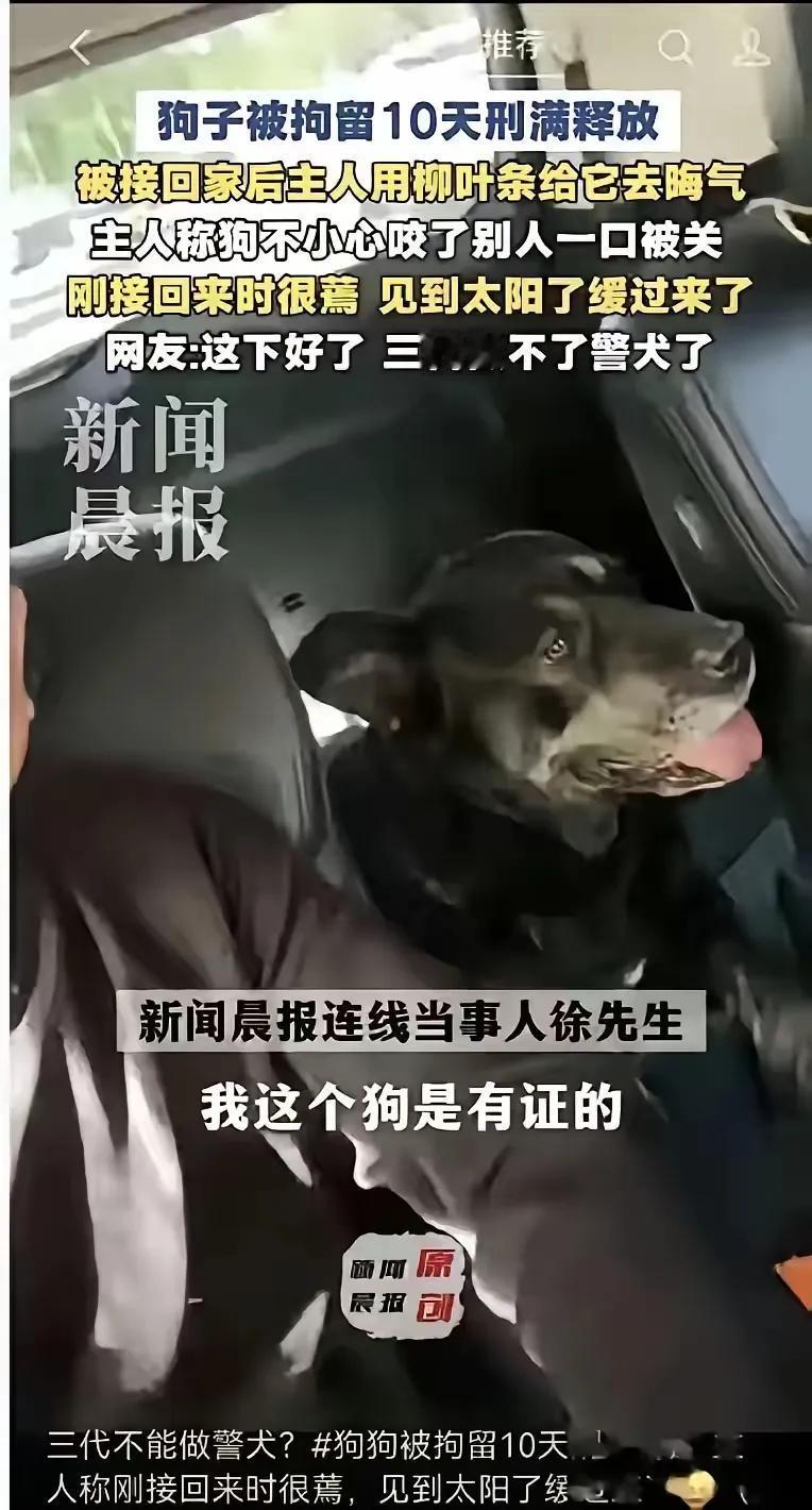 我这个狗是有证的，咬你活该呀！我这个有证的狗咬你。不但活该，而且我还要把它当