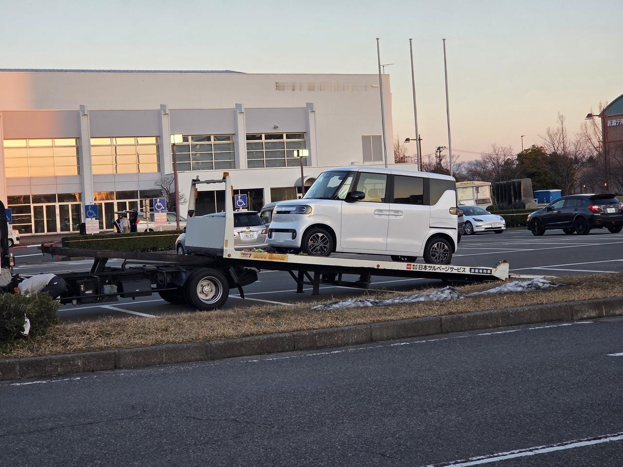 可爱可爱！比亚迪RACCO交付中🚗