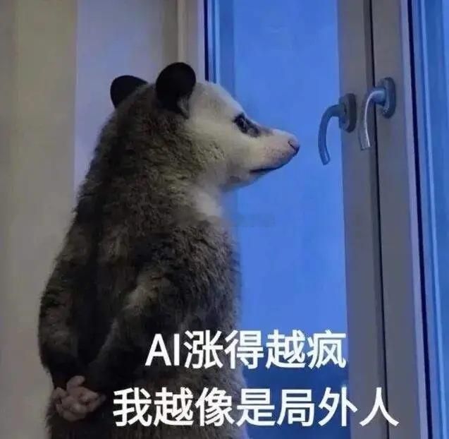 市场的极端分化，让很多老登有点黑化了。现在大A达成的共识是，每次只要AI科技股大