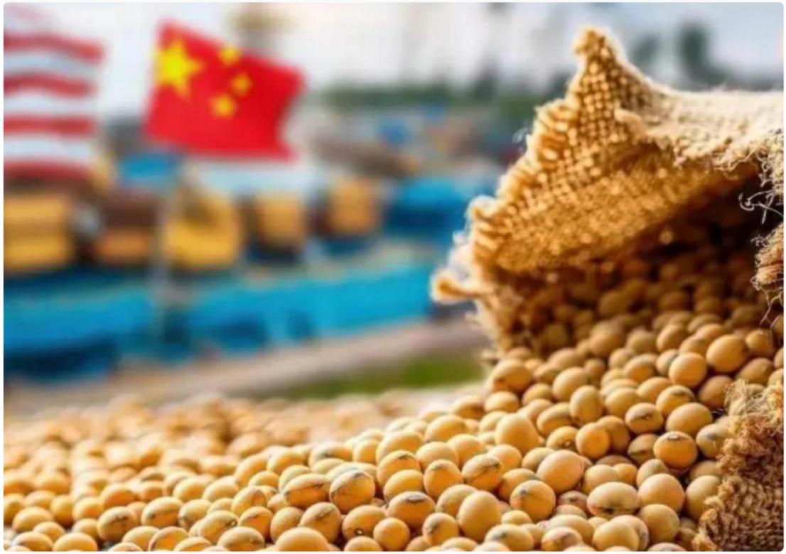 中美之间可能有大事发生！84万吨美国大豆突然成交！8月1日市场披露，中国买家在7