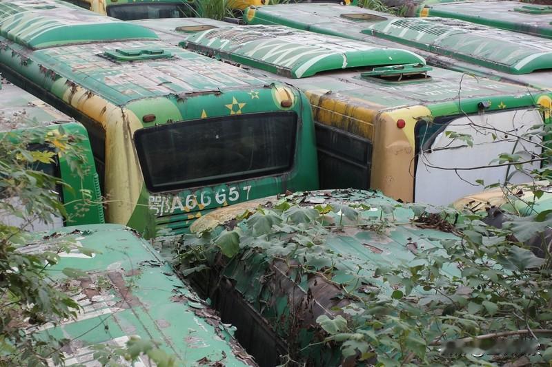 2024年一场“油罐车混装食用油”风波，把前湖北首富兰世立和粮油巨头金龙鱼卷入舆