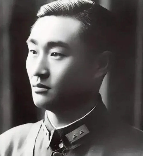 1942年初，蒋介石派人视察长沙会战的阵地，看见满山满谷都是日军尸体后，一个高参