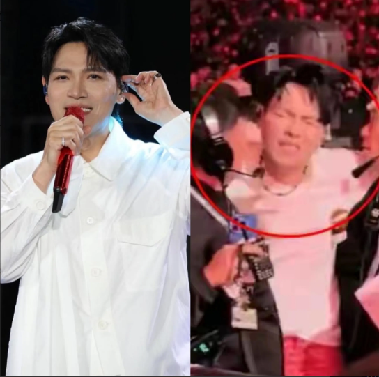 杨宗纬以后很难再出来唱歌，​原因很简单，​不是因为他在演唱会摔倒了，而是因为