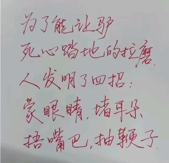 这四招完全拿捏了驴的人生！