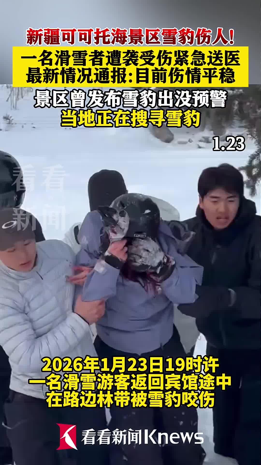 新疆可可托海镇的“雪山精灵”竟成“闯祸王”（个人观点仅供参考，无任何不良引导）