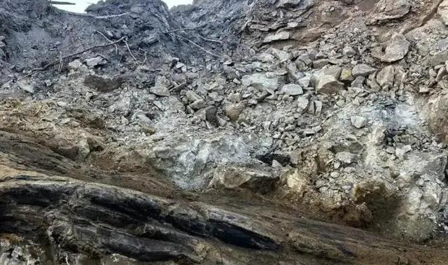 同一块墓碑，上半截刻着一种没人认识的文字，下半截刻着汉字。汉字写的是：苏谅之妻马