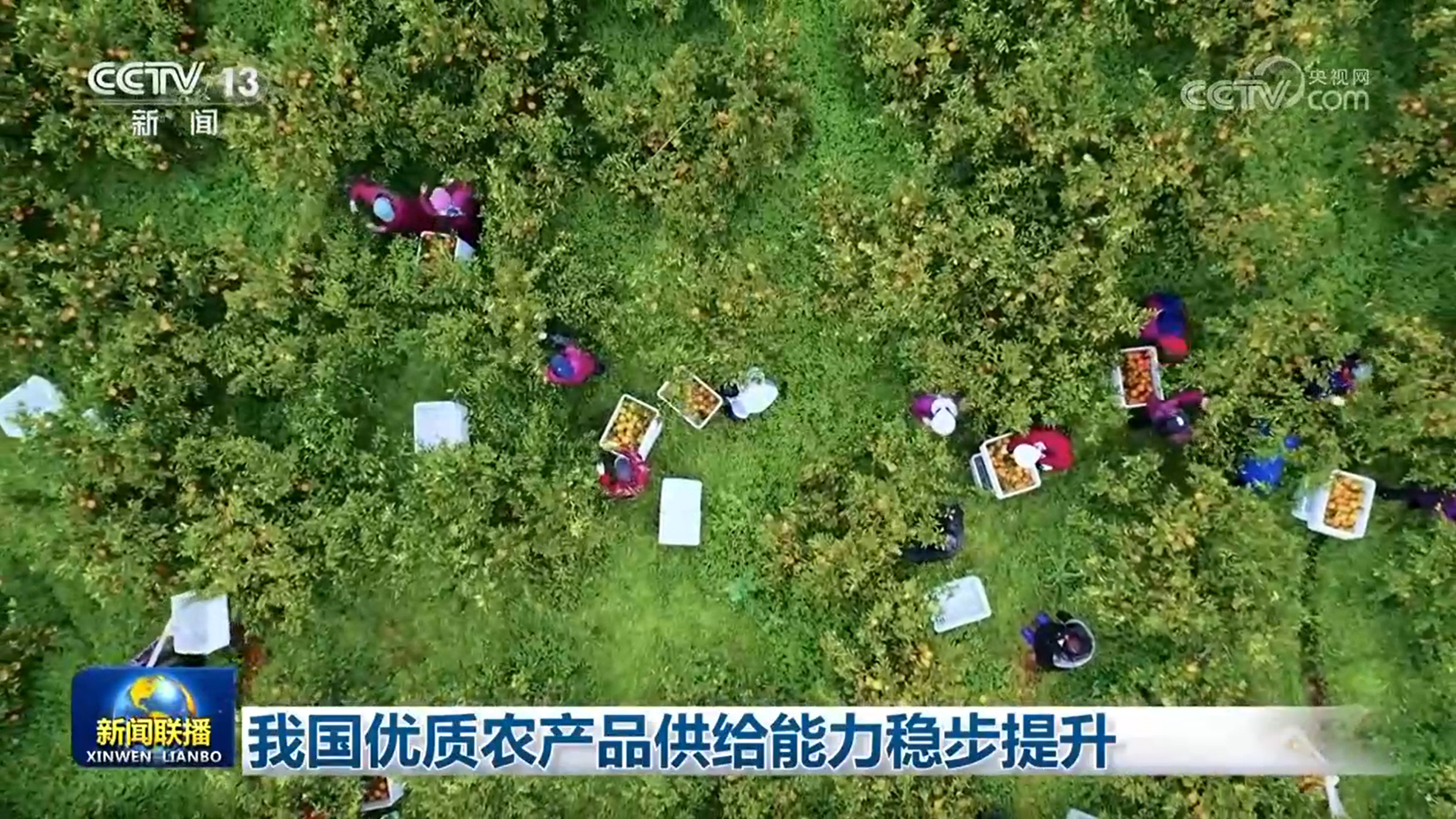 我国优质农产品供给能力稳步提升