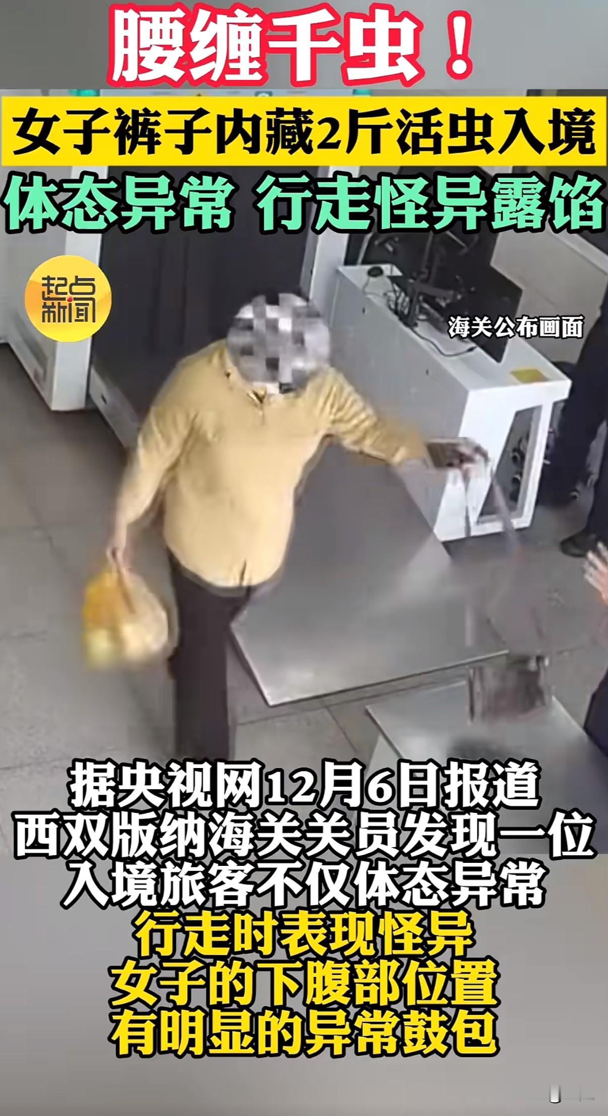 裤子里藏活虫，走路都变样了。云南西双版纳，勐龙旅检通道。海关关员看着一名入境