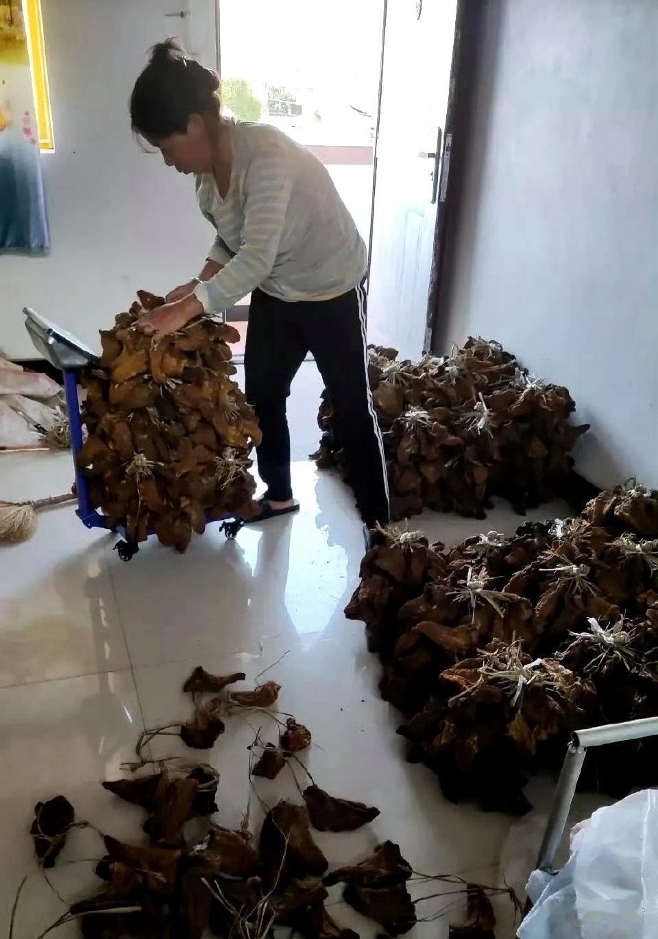 这是什么