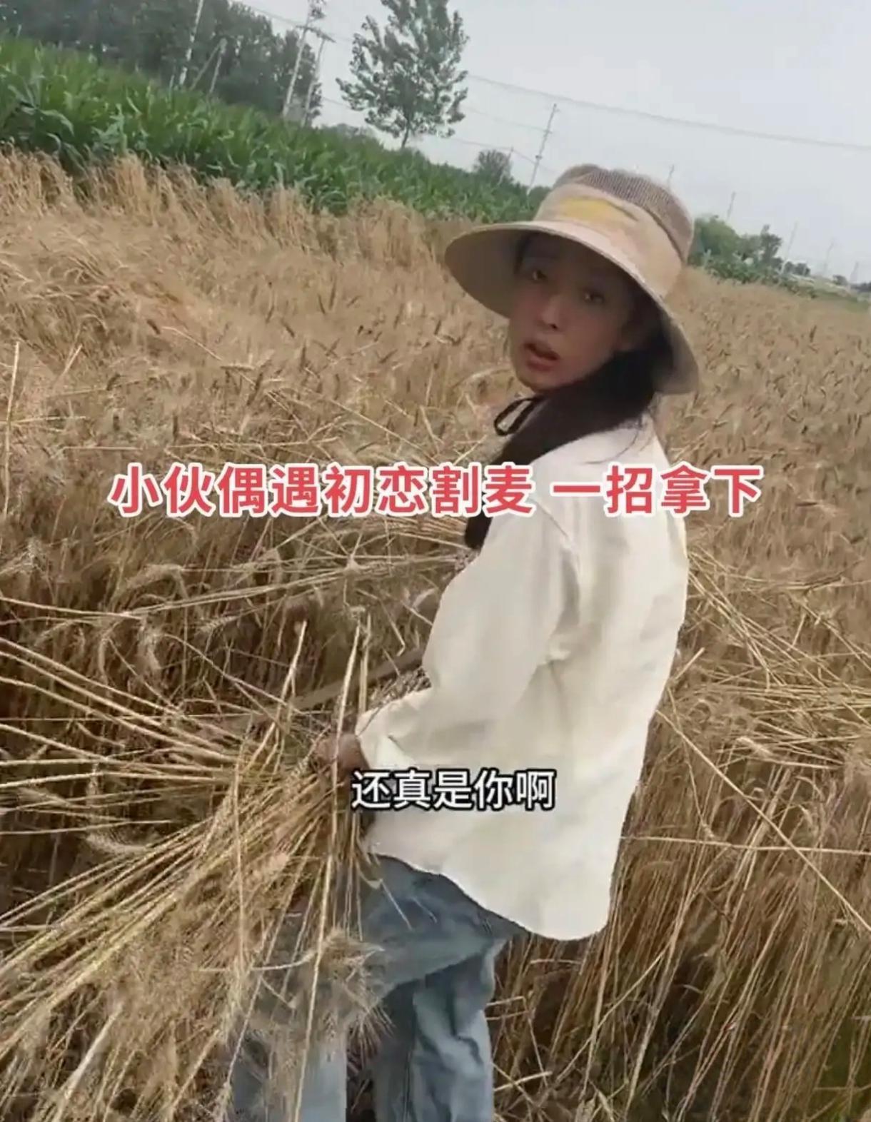 年少因穷分手，三年后麦田重逢复合：最好的爱情，终是苦尽甘来一小伙高中谈了个