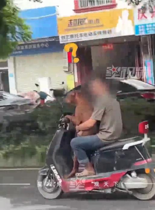 “这下出名了！”9月29日，广西百色，一男子发现家中的狗状态不对，就打算带去兽医