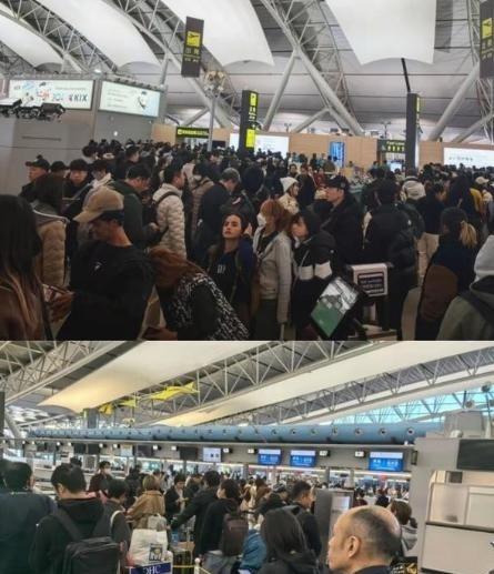为什么只有中国人纷纷从日本回国，然而却不见在中国的日本人回国，这安静的实属不