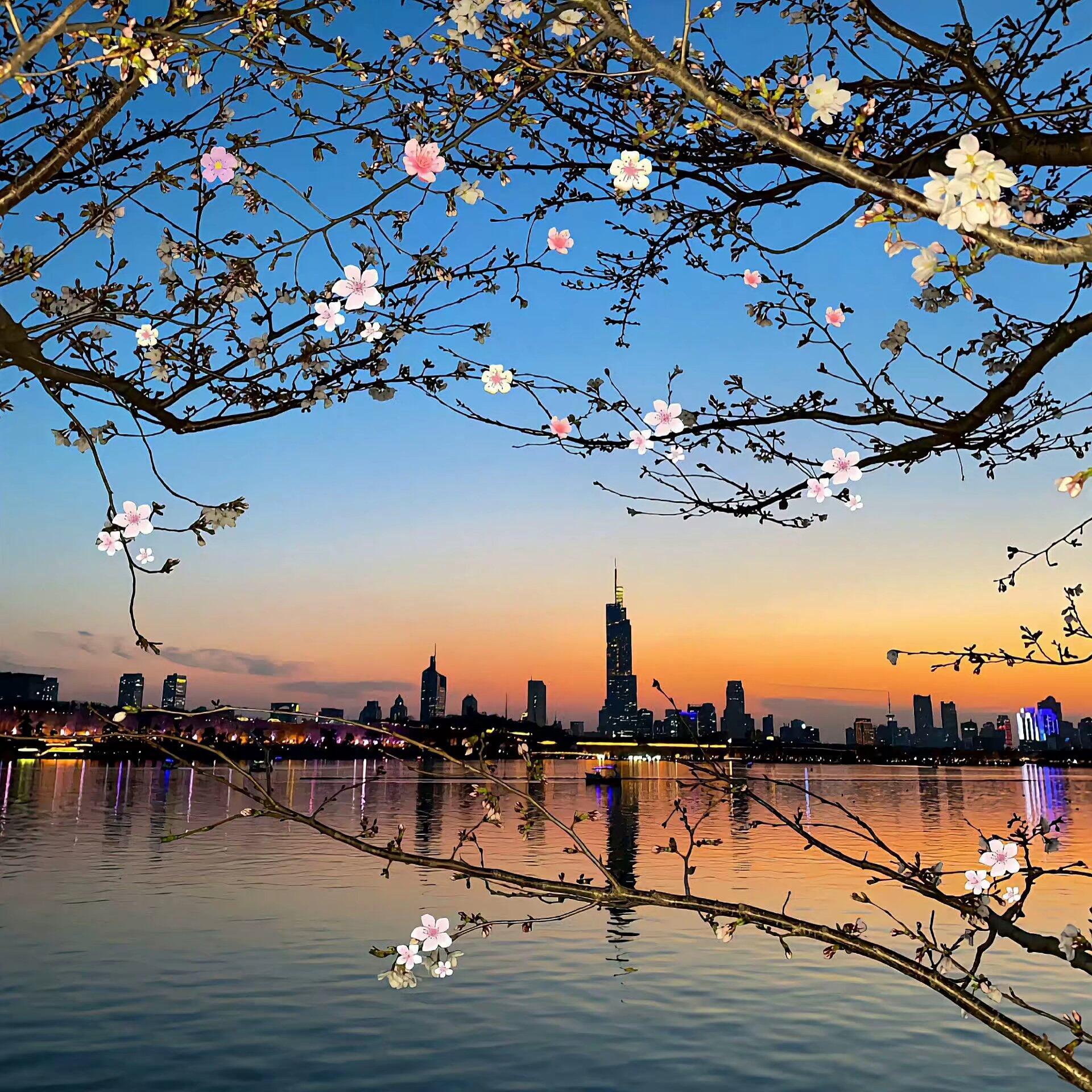 小众氛围感𝗪𝗲𝗰𝗵𝗮𝘁背景图.ᐟ‪.ᐟ