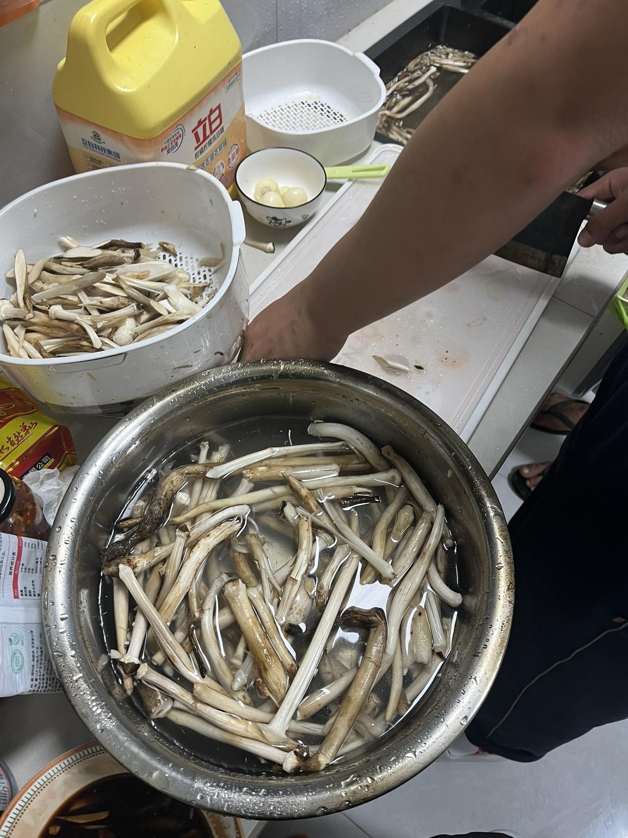 努力生活