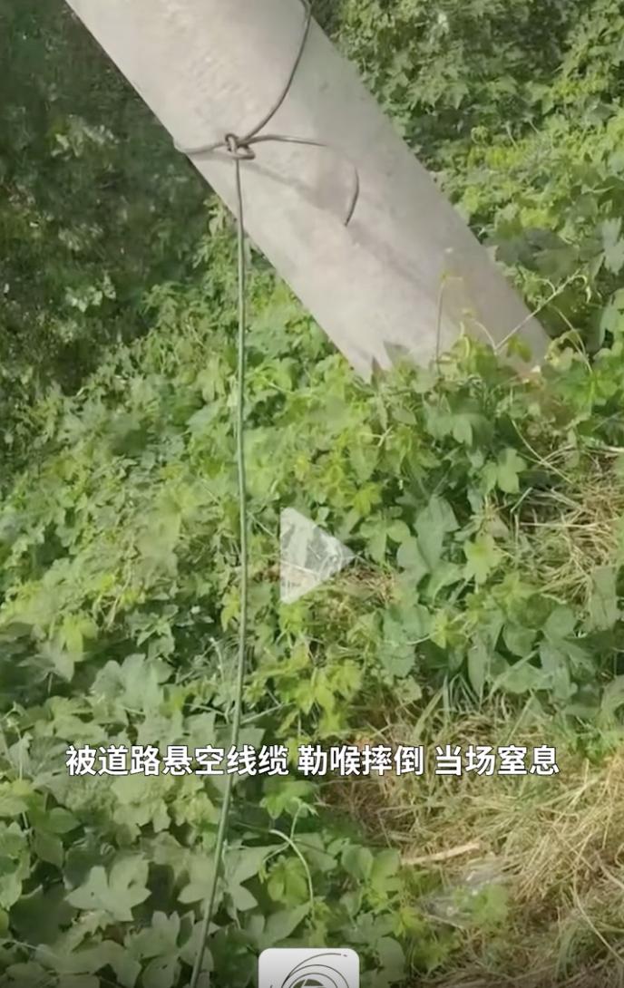 河南补路拉绳子的这位司机，估计肠子都悔青了！本来是一片好心，看见路面破损后，用剩