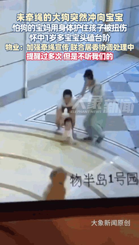 “必须严惩！”广东广州，一女子正带着孩子在楼下玩耍，突然，一条没有栓绳的大狗冲向