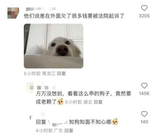 要被骗子笑死，说我家狗打架被抓了