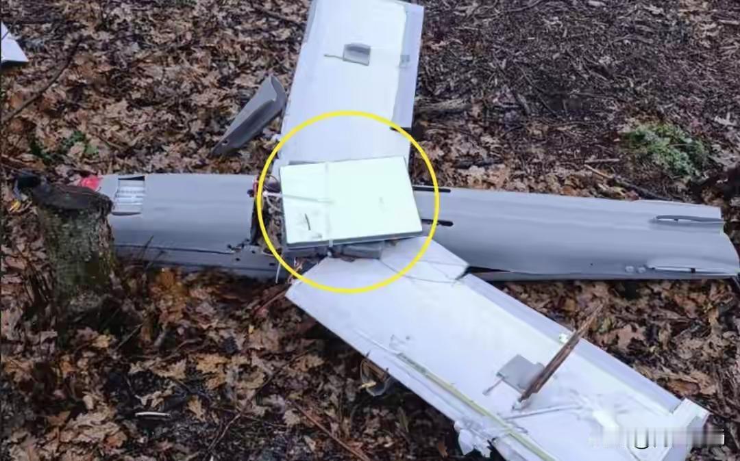 都说不作死，就不会死，如果作死，肯定死的快。泽连斯基出尔反尔，在美国，俄罗斯，