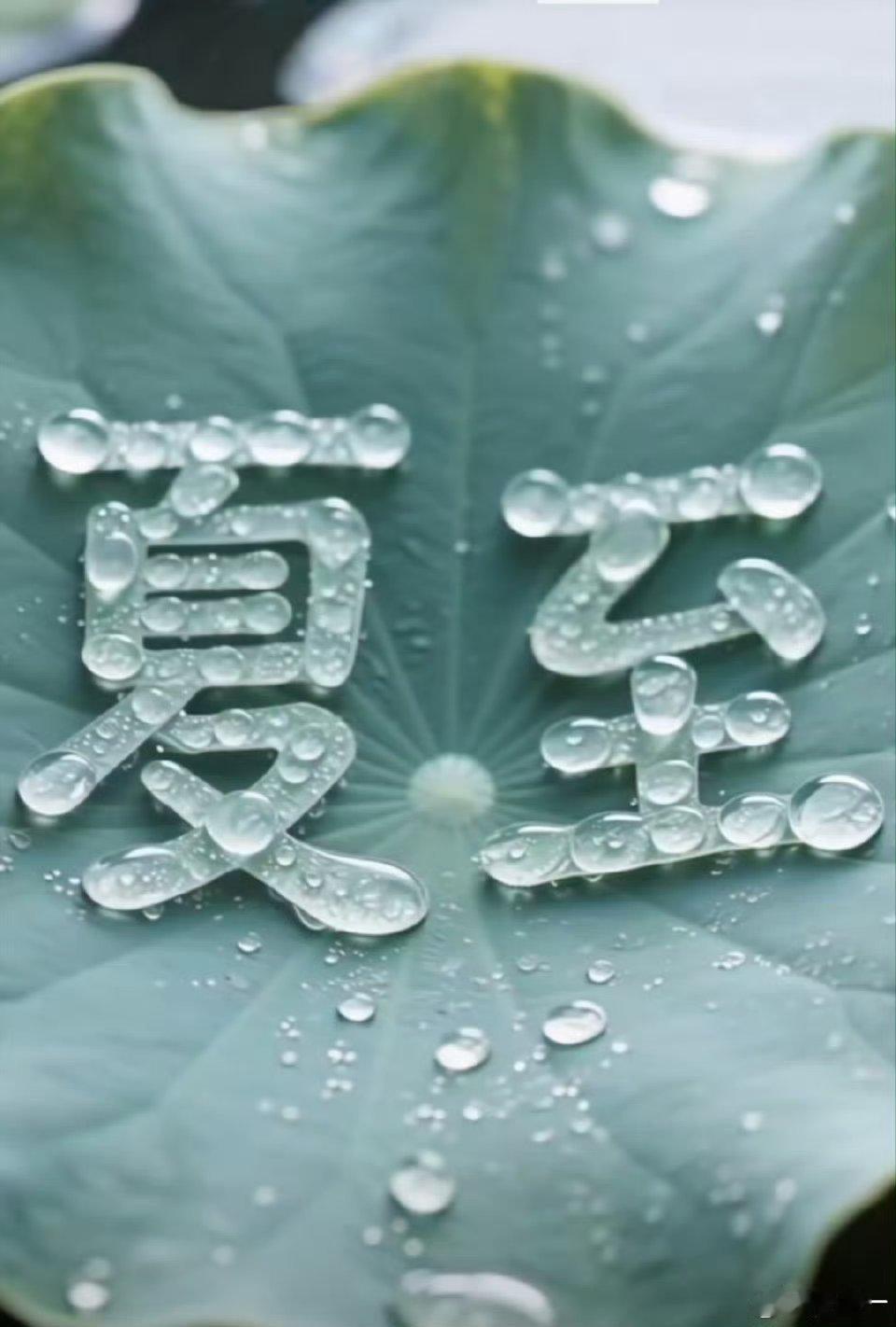跑步夏至已至上海
