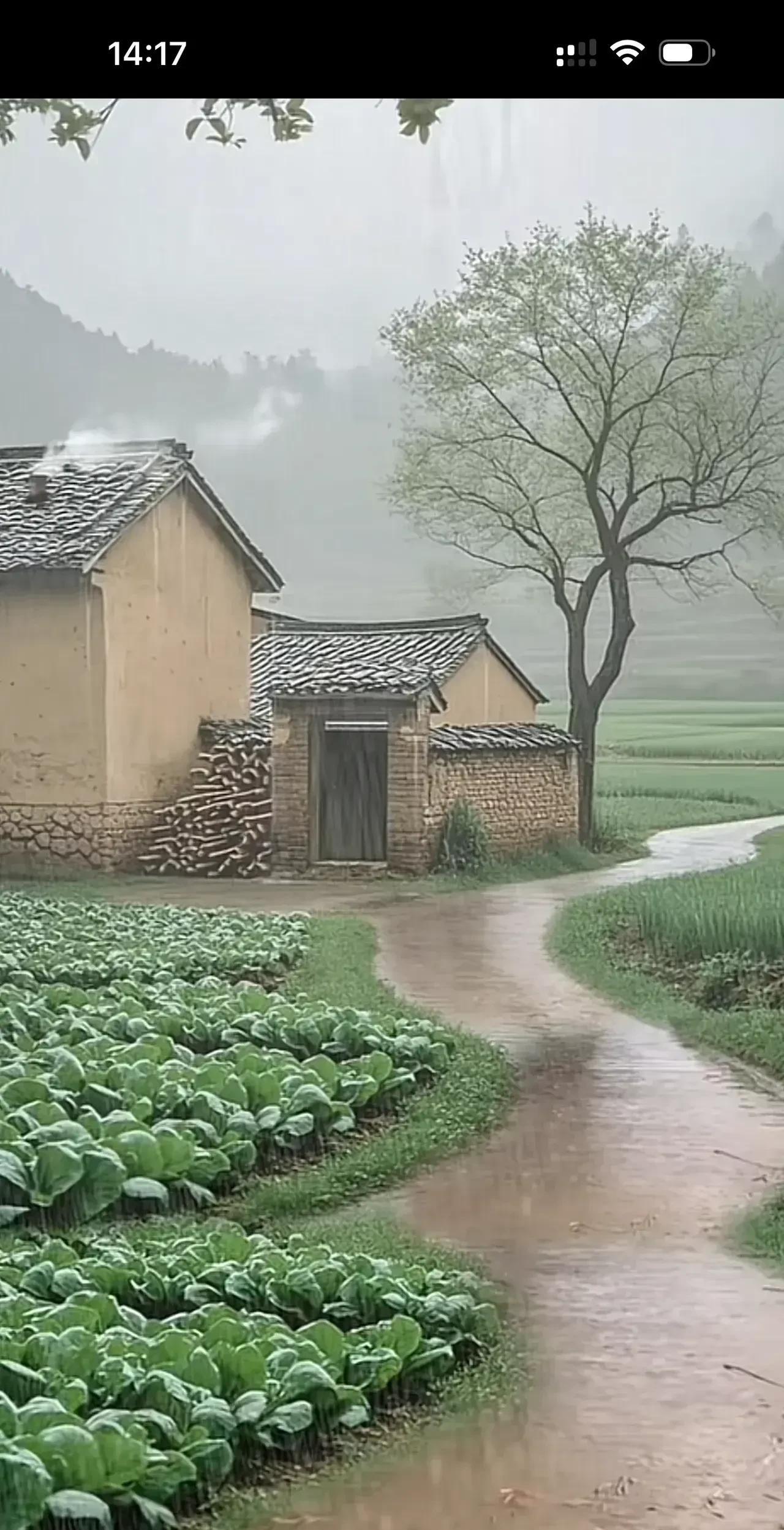 曾经，村路是蜿蜒的愁绪，雨天泥泞缠足，晴天尘土扑面，把乡亲们的期盼与远方隔开。