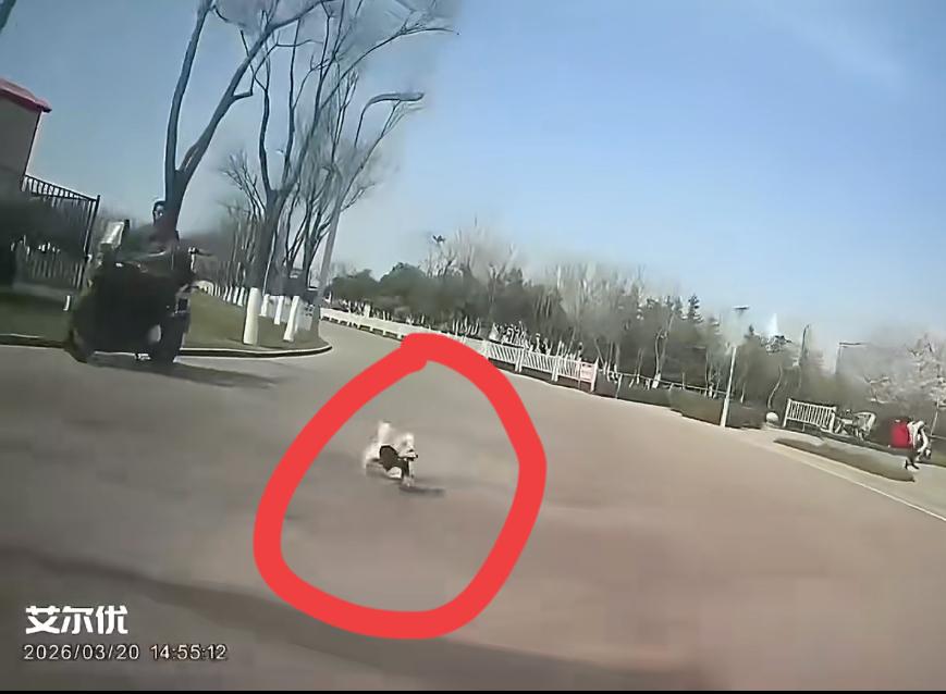 西安外卖小哥撞死未牵绳无狗证的宠物狗，狗价值3000块，却被狗主索赔680