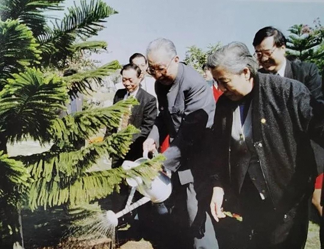 1995年12月，华国锋在深圳锦绣中华参观参观，这是华国锋夫妇参加植树活动，正在
