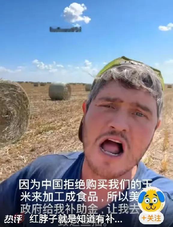 [美国农场主就地毁掉玉米库存，中国精准制裁让美国政府苦不堪言。]中国不买美国玉
