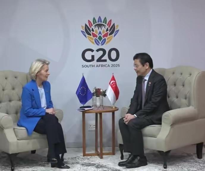 G20峰会期间，新加坡总理黄循财会见欧盟主席冯德莱恩，不得不说，没有尴尬只有更尴