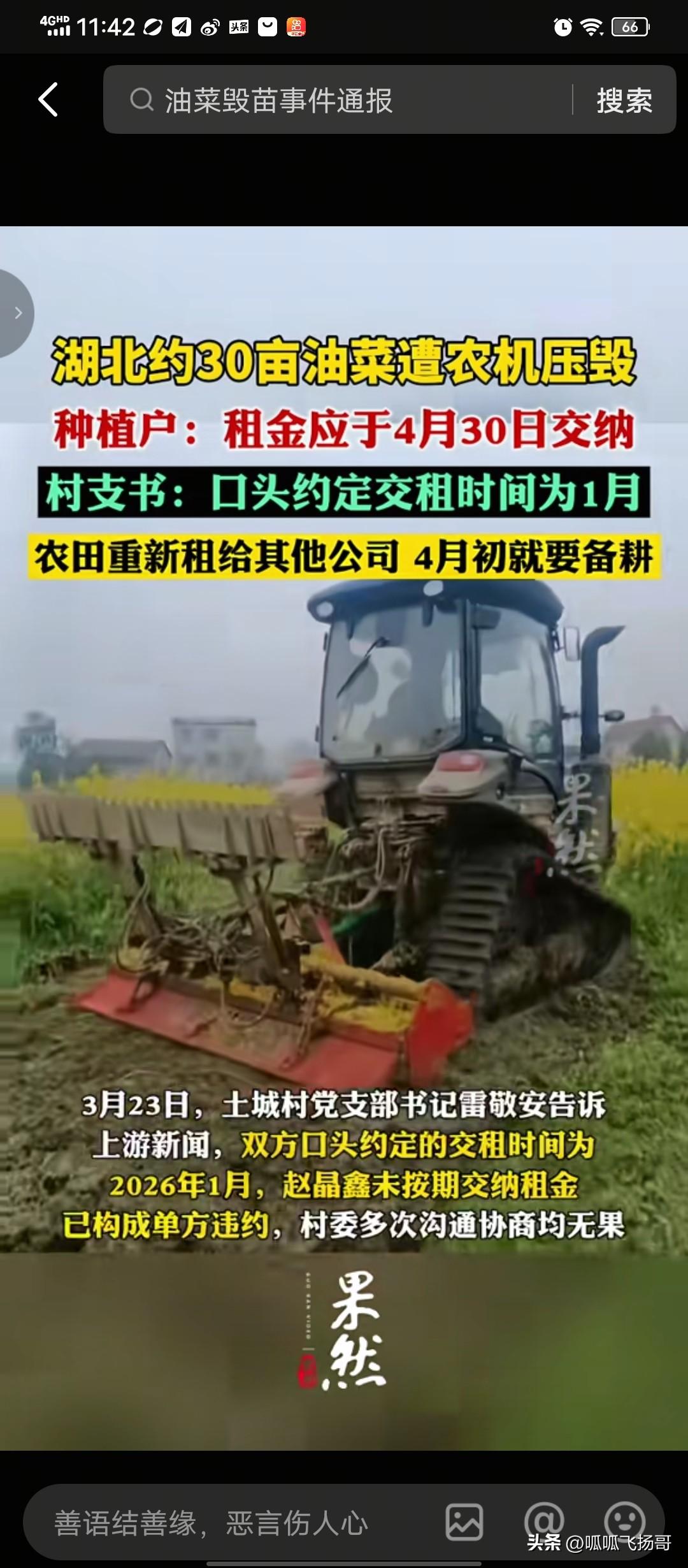 湖北30亩油菜田，眼看一个月就要迎来丰收的喜悦，没想到被人一夜之间被人开推土机损