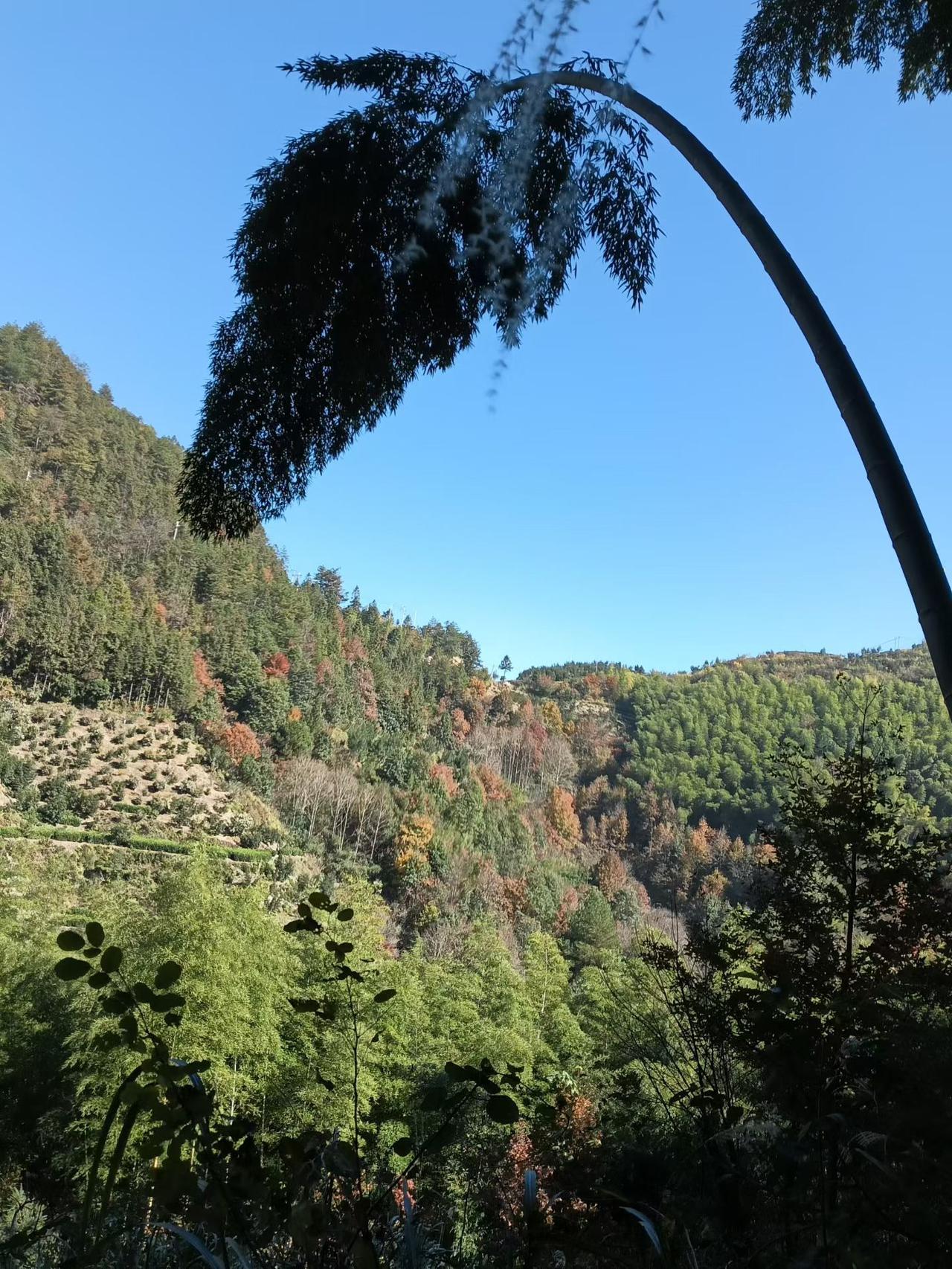 很多研究表明，学霸和学渣智商没太大差异。关键在于面对挫折的态度。学习好的人遇到