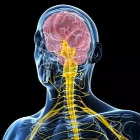 神经损伤痛苦分六级,你扛到哪一步了? 1.轻微异常这一阶段我们的身体末端