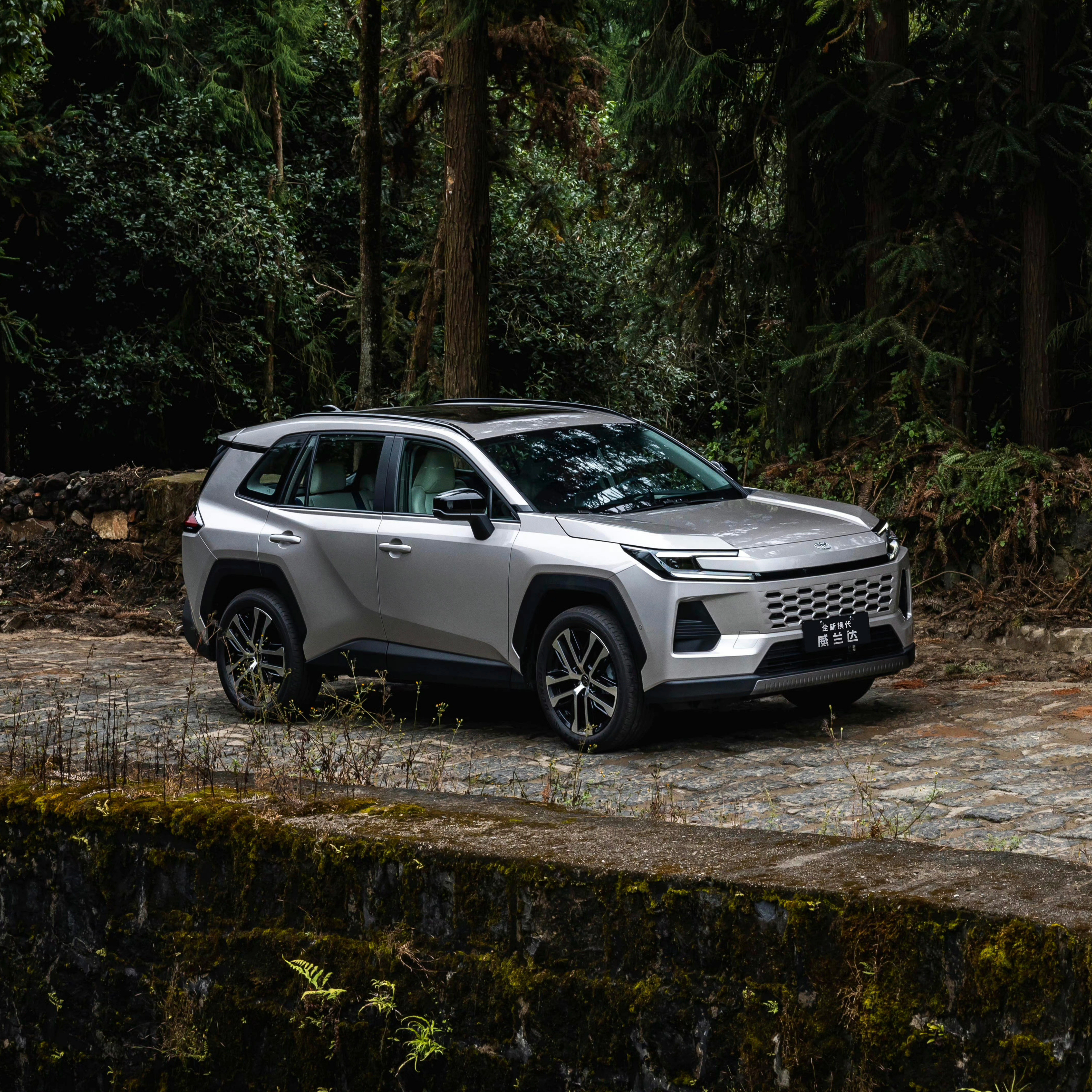 新的威兰达我还挺喜欢千篇一律的市场中，延续了自己的一套风格考虑到霸道和陆巡这样的