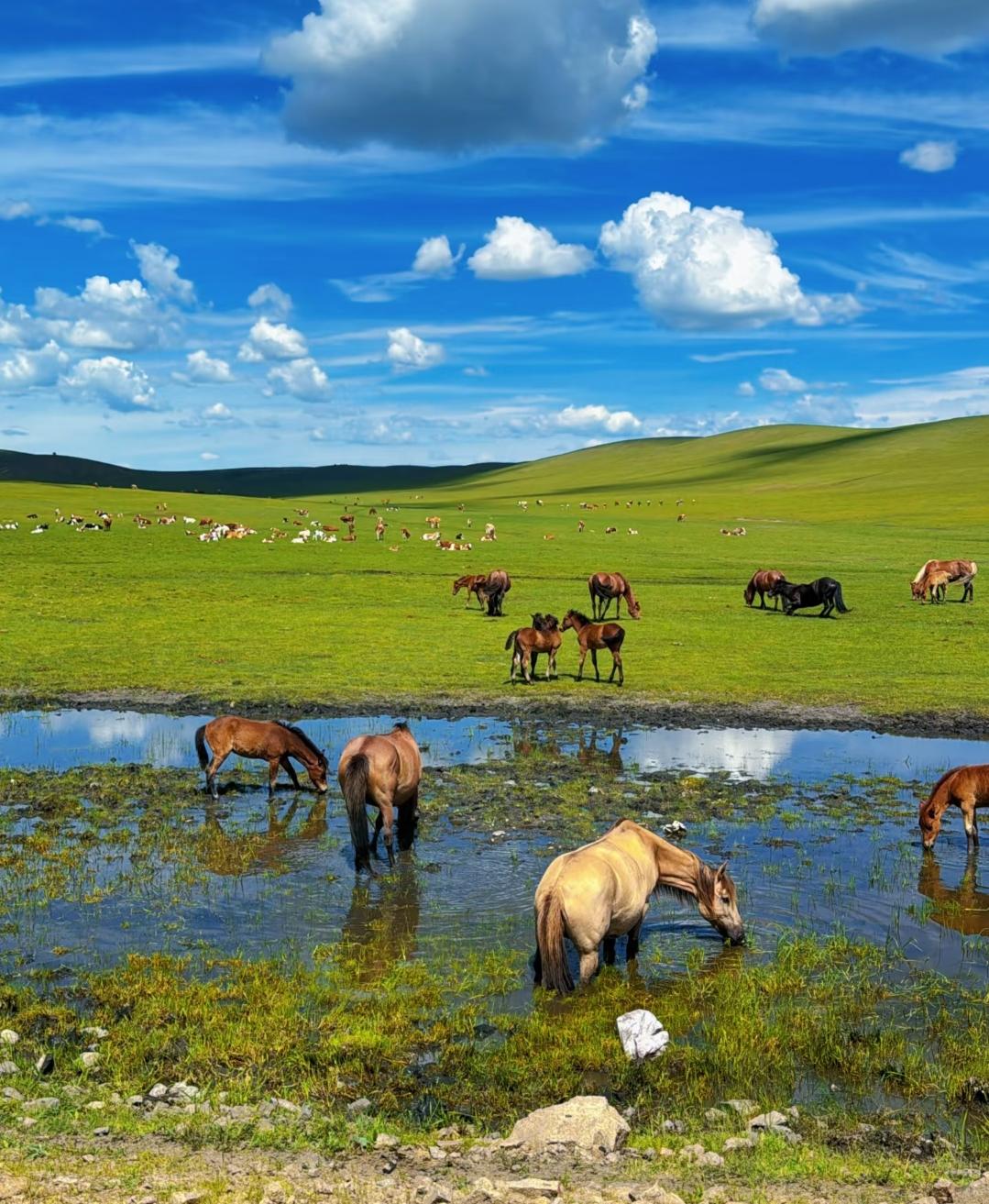 “被说傻又怎样？我哥的闺女，就该我疼！”老家拆迁分了2套房+2个门面，我直接给了