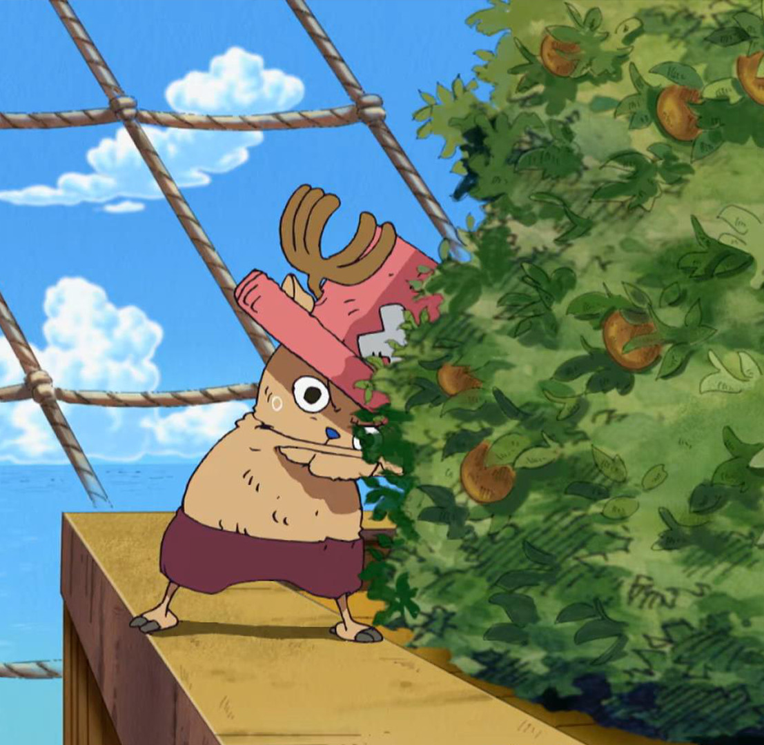 海贼王海贼王此物萌之