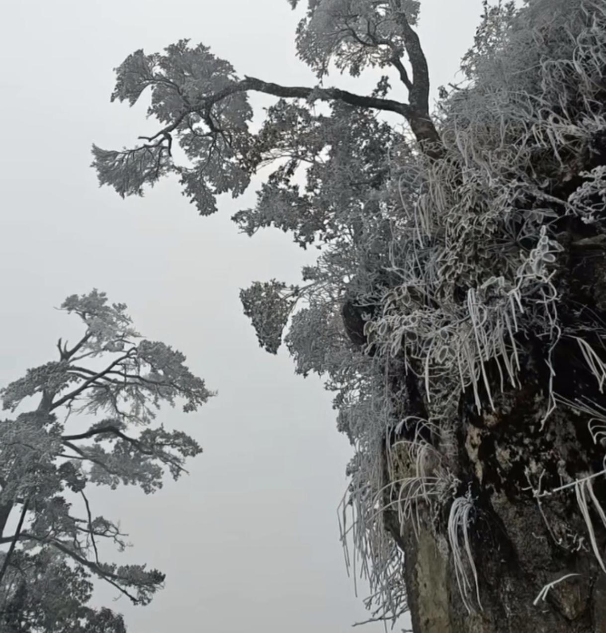 广州的北边是清远，韶关，当广州最低温度只有7度的时候，清远那边的山卡拉就接近0度