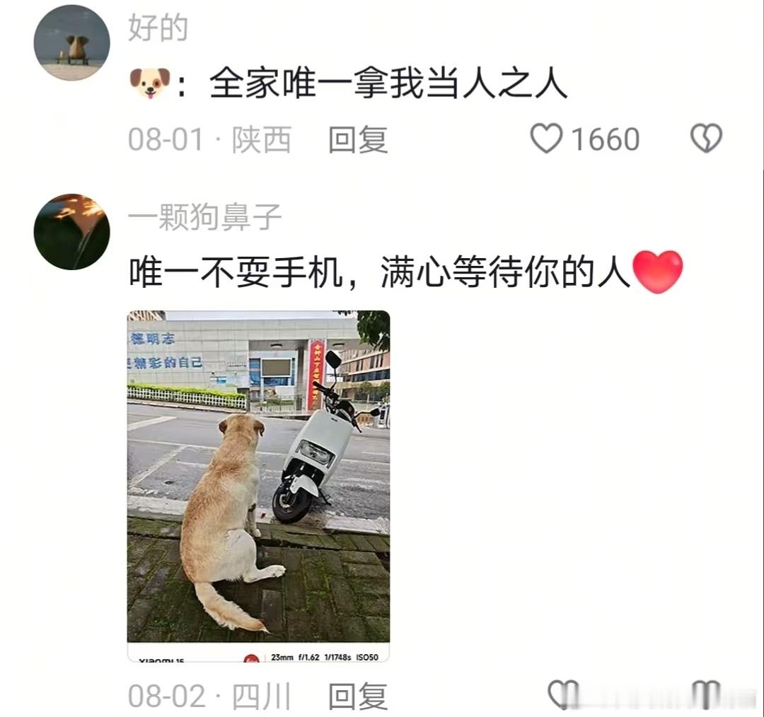 全家唯一随时能约出来不管去哪从不磨磨唧唧之人