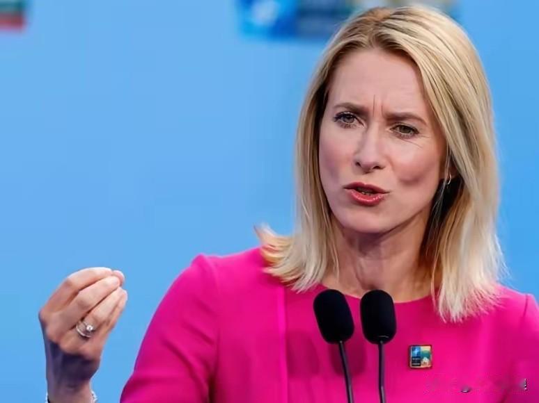 刚刚外国一军事专家表示欧盟最大的失误是让卡拉斯管外交这样的人管外交让“