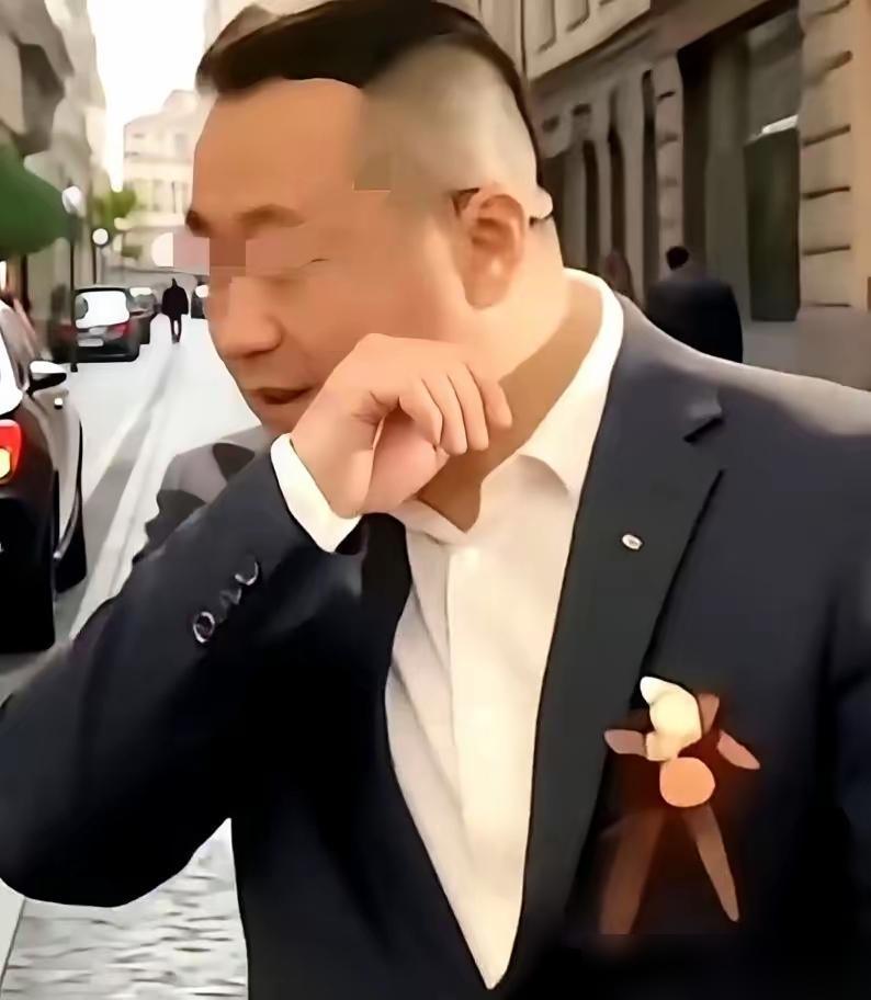 说老金毛不后悔是假的！​新年将至，远方的儿女亲人们都回家团聚了，但老金毛家却