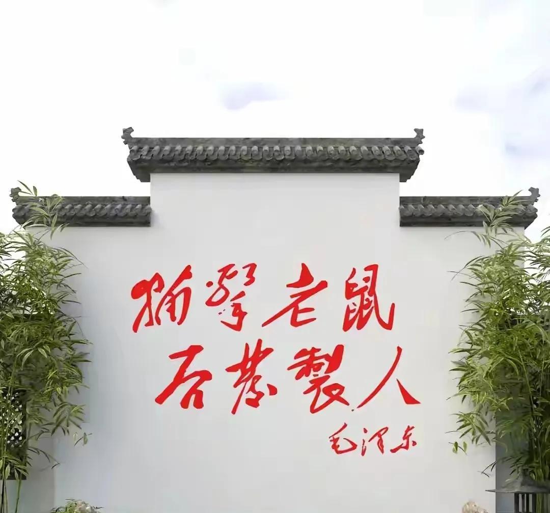 这写的是什么字？一个也看不懂？
