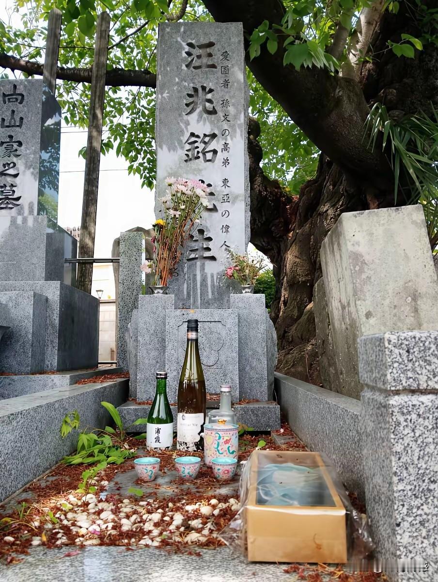 日本人在东京还给他修了个衣冠冢，日本人的算盘打的是够阴的了，像这种数典忘祖的民族