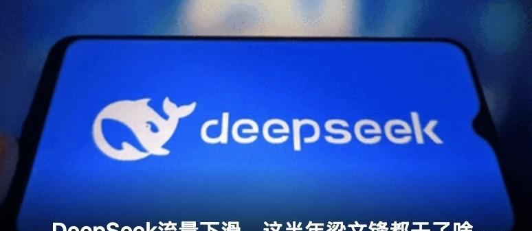 网上很多人说deepseek是炒作，完全没有想象中的好，数据结果也不准确，现在已