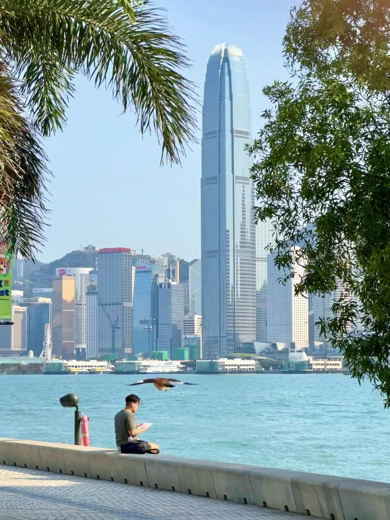 来香港一定要来一次西九文化区这份西九龙耍法最全攻略给你梳理好啦⬇️✅交通